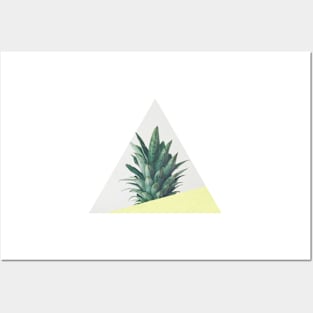 Pineapple Dip III Posters and Art